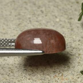 Coral Multicolor natural de 6.35 ct, Corte Óvalo, Translúcido