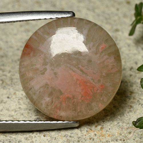 8.34ct Natural Multicolor Coral, Redondo, Translúcido