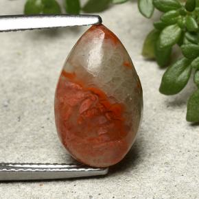 Coral Multicolor natural de 4.83 ct, En forma de pera, Translúcido