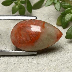 Coral Multicolor natural de 4.83 ct, En forma de pera, Translúcido