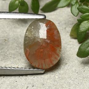 Coral Multicolor natural de 1.88 ct, Corte Óvalo, Translúcido