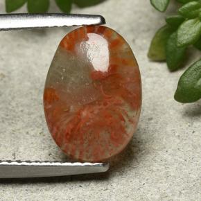 Coral Multicolor natural de 2.54 ct, Corte Óvalo, Translúcido