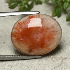 Coral Multicolor natural de 13.21 ct, Ovalada, Opaco