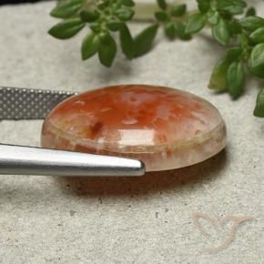 Coral Multicolor natural de 13.21 ct, Ovalada, Opaco