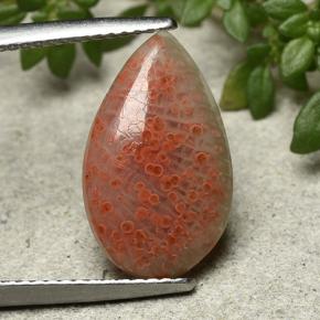 Coral multicolor natural de 3,94 ct, en forma de pera, translúcido