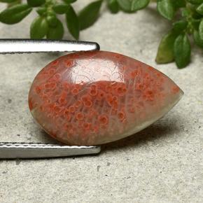 Coral multicolor natural de 3,94 ct, en forma de pera, translúcido
