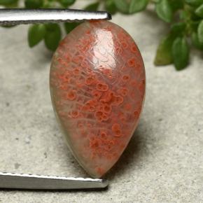 Coral multicolor natural de 3,94 ct, en forma de pera, translúcido