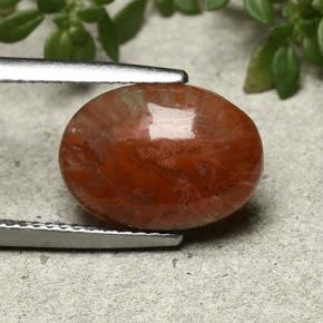 Coral Multicolor natural de 4.35 ct, Corte Óvalo, Translúcido