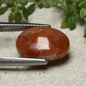 Coral Multicolor natural de 4.35 ct, Corte Óvalo, Translúcido