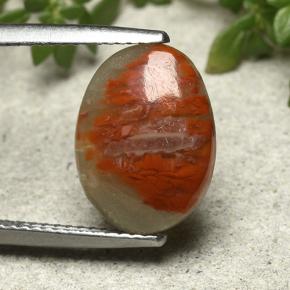 Coral multicolor natural de 3,86 ct, corte óvalo, opaco