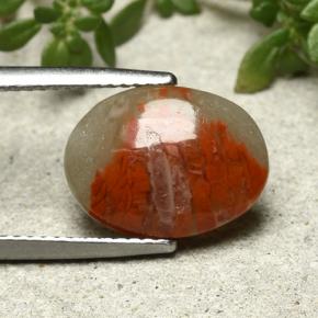 Coral multicolor natural de 3,86 ct, corte óvalo, opaco