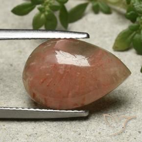 Coral Multicolor natural de 6.28 ct, En forma de pera, Translúcido