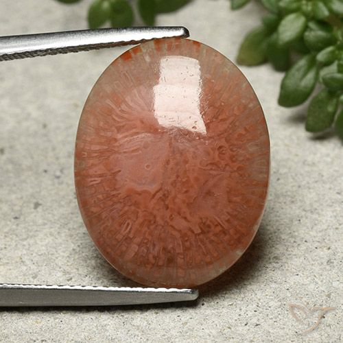9.51ct Natural Multicolor Coral, Ovalada, Translúcido