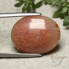 Coral Multicolor natural de 9.51 ct, Ovalada, Translúcido