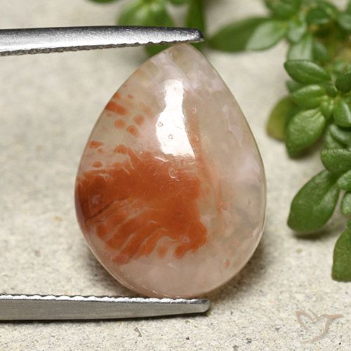 6.43ct Natural Multicolor Coral, En forma de pera, Translúcido