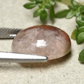 Coral Multicolor natural de 12.54 ct, Corte Óvalo, Translúcido