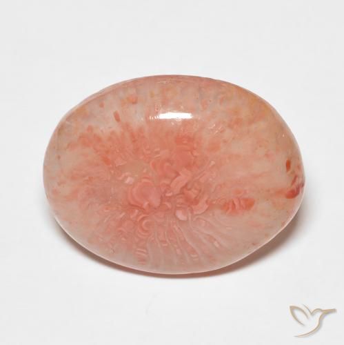 7.43ct Natural Multicolor Coral, Ovalada, Translúcido