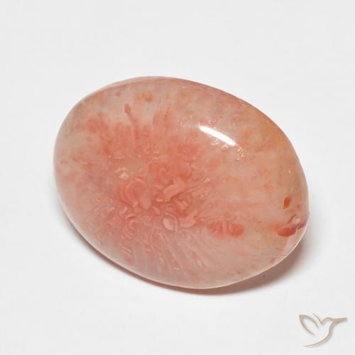 Coral Multicolor natural de 7.43 ct, Ovalada, Translúcido