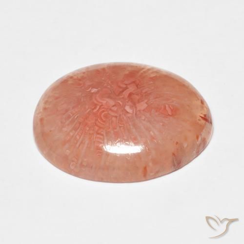 Coral Multicolor natural de 7.43 ct, Ovalada, Translúcido