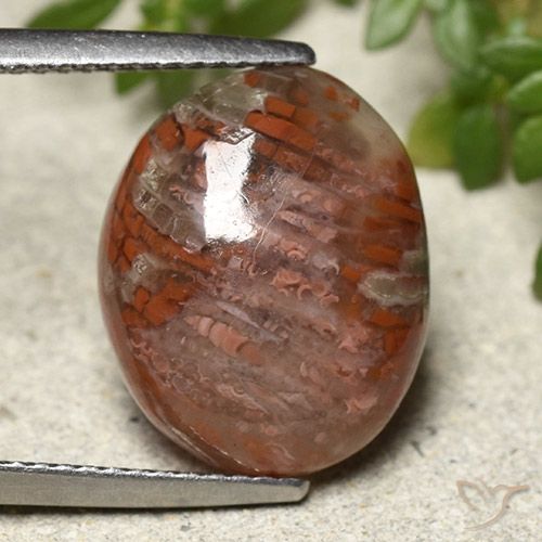 7.28ct Natural Multicolor Coral, Ovalada, Translúcido