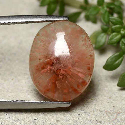 7.91ct Natural Multicolor Coral, Ovalada, Translúcido