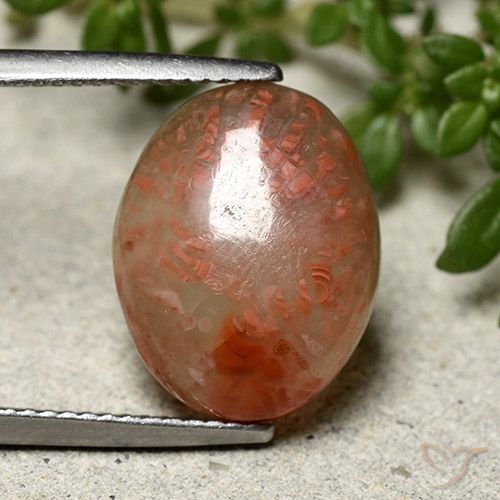 6.66ct Natural Multicolor Coral, Ovalada, Translúcido