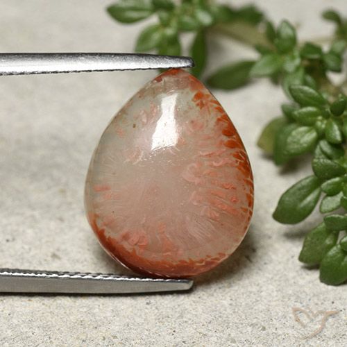 7.31ct Natural Multicolor Coral, En forma de pera, Translúcido