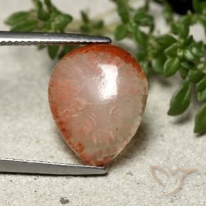 Coral Multicolor natural de 7.31 ct, En forma de pera, Translúcido