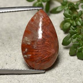Coral multicolor natural de 8,19 ct, en forma de pera, opaco