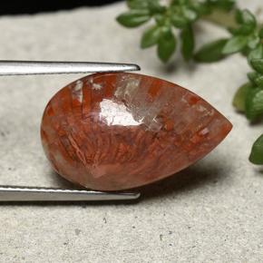 Coral multicolor natural de 8,19 ct, en forma de pera, opaco