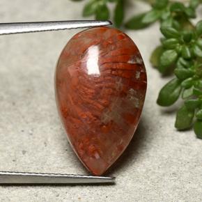 Coral multicolor natural de 8,19 ct, en forma de pera, opaco