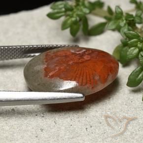 Coral Multicolor natural de 8.92 ct, Elegante, Opaco