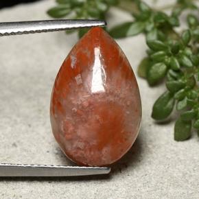 Coral multicolor natural de 7,73 ct, en forma de pera, opaco