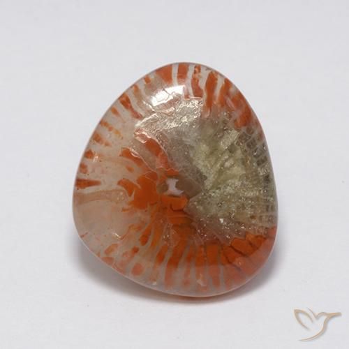 7.59ct Natural Multicolor Coral, Elegante, Translúcido