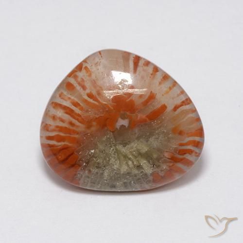 Coral Multicolor natural de 7.59 ct, Elegante, Translúcido