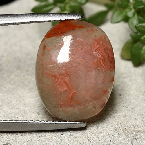 6.86ct Natural Multicolor Coral, Ovalada, Translúcido