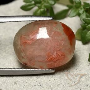 Coral Multicolor natural de 6.86 ct, Ovalada, Translúcido