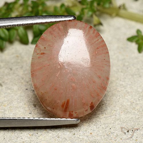 7.55ct Natural Multicolor Coral, Ovalada, Translúcido