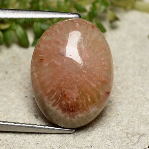 7.64ct Natural Multicolor Coral, Ovalada, Translúcido