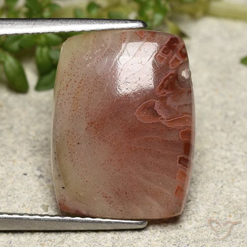 Coral Multicolor natural de 5.47 ct, Corte Cojín, Translúcido