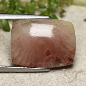 Coral Multicolor natural de 5.47 ct, Corte Cojín, Translúcido