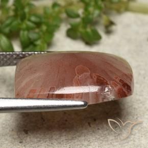 Coral Multicolor natural de 5.47 ct, Corte Cojín, Translúcido