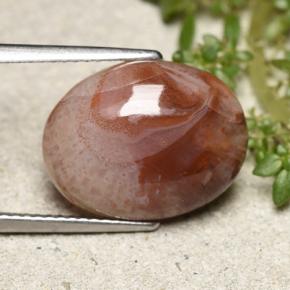 Coral Multicolor natural de 6.86 ct, Corte Óvalo, Translúcido