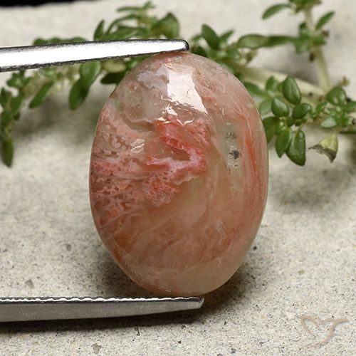 7.30ct Natural Multicolor Coral, Ovalada, Translúcido
