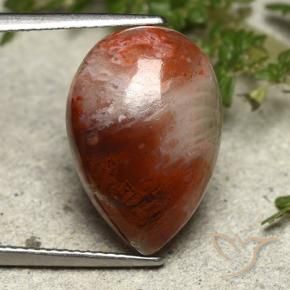 Coral Multicolor natural de 7.34 ct, En forma de pera, Opaco