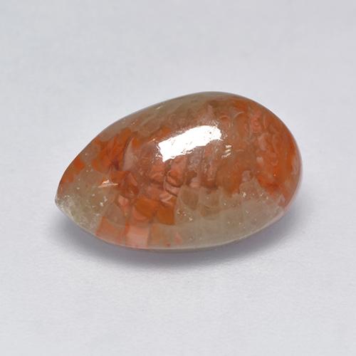 Coral multicolor natural de 3,39 ct, en forma de pera, translúcido