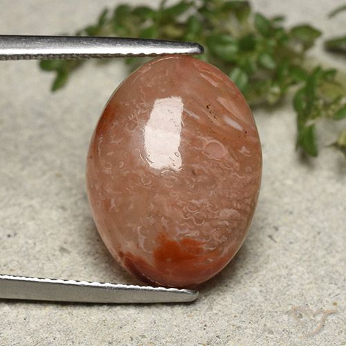 10.75ct Natural Multicolor Coral, Ovalada, Translúcido