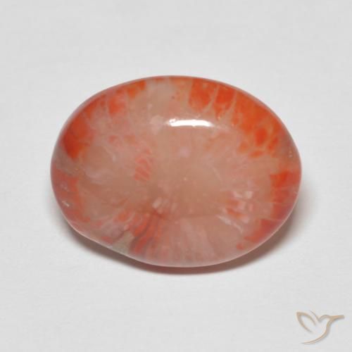 4.60ct Natural Multicolor Coral, Ovalada, Translúcido, Photo A