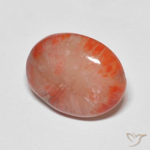 Coral Multicolor natural de 4.60 ct, Ovalada, Translúcido