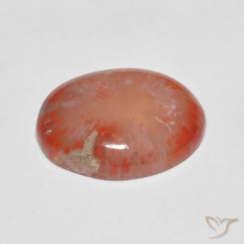Coral Multicolor natural de 4.60 ct, Ovalada, Translúcido